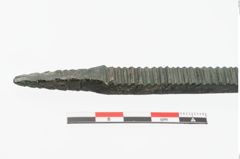 Foto von Bronzeraspel (NHMW-PRAE-023825)